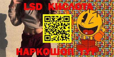стаф Кулебаки